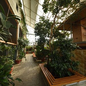 Tropical house - Inside view