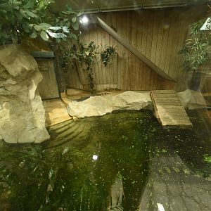 Cuban crocodile enclosure