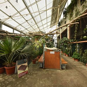 Tropical house - inside view