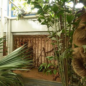 Tropical house - Armadillo