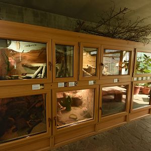 Tropical house - Terraria