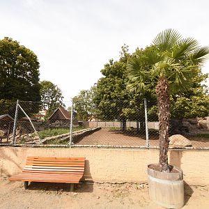 Alpine ibex enclosure