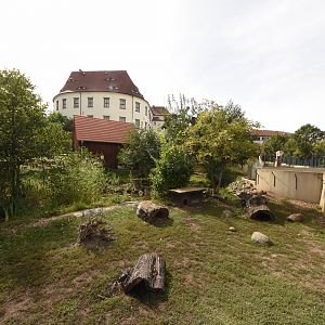European otter enclosure