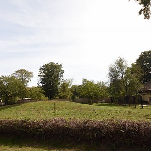 Sable antelope paddock