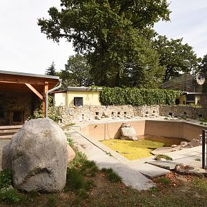Humboldt penguin enclosure