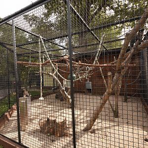 Black capuchin cage