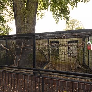 Cotton-topped tamarin cage
