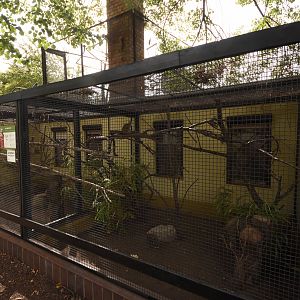 Squirrel monkey cage