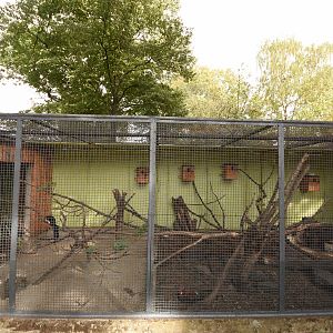 Prevost squirrel & Junglefowl cage