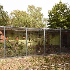 Pere david rock squirrel & Pheasant cage