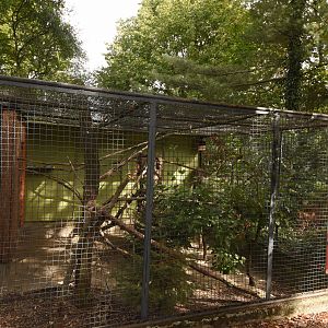 Galah cage