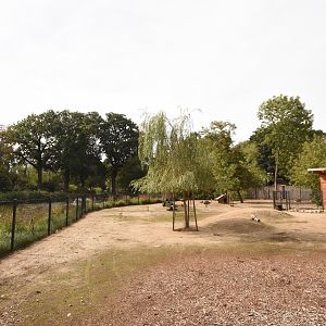 Mara + Nandu paddock