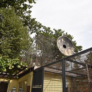 Squirrel monkey cage 2