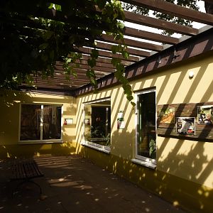 Callichthrid indoor viewing