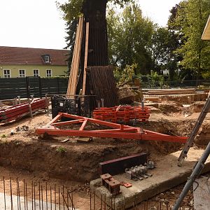 Future leopard enclosure