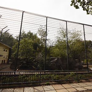 Siberian tiger enclosure