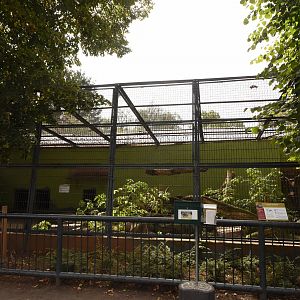 N-Chinese leopard cage