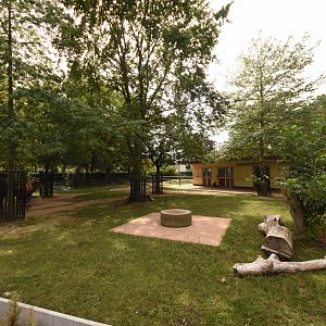 Bactrian camel paddock