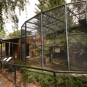White-handed gibbon cage