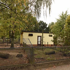Domestic fowl enclosures