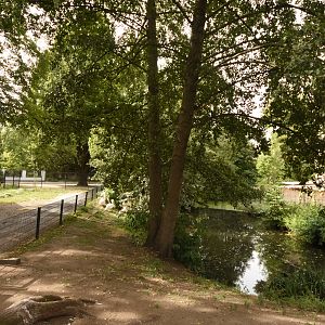 Great white pelican enclosure