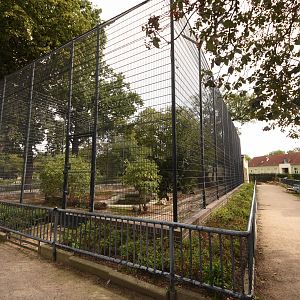 Siberian tiger enclosure
