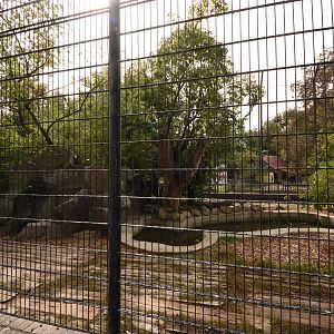 Siberian tiger enclosure