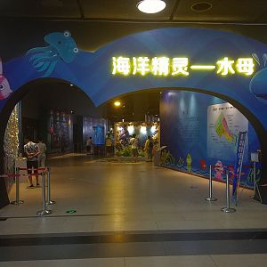 Entrance to Jellyfish Exhibition