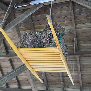 Sled and crab or lobster traps as theming above bear viewing area, 2019-10-04