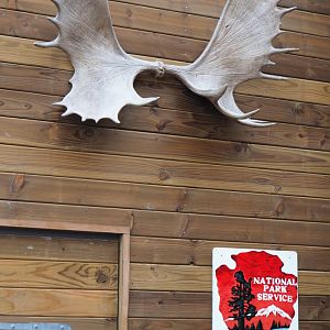 The Last Frontier theming items - Moose antlers and National Park Service sign, 2019-10-04