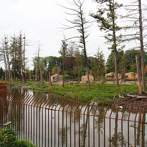 The Last Frontier - Eurasian brown bear and American black bear exhibit, 2019-10-04