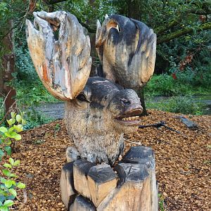 The Last Frontier theming - Wacky moose wood carving, 2019-10-04