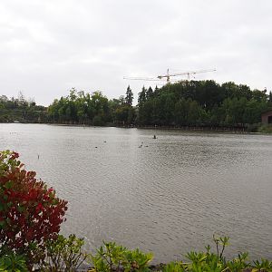 View over one of the lakes, 2019-10-04
