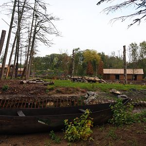 The Last Frontier - Eurasian brown bear and American black bear exhibit, 2019-10-04