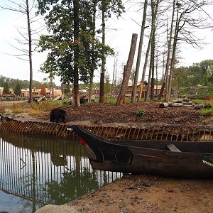 The Last Frontier - Eurasian brown bear and American black bear exhibit, 2019-10-04
