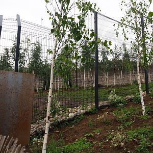Mackenzie Valley wolf exhibit, 2019-10-04