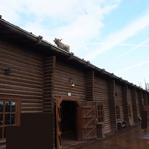 Side of the train hangar - With Angora goat, 2019-10-04