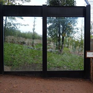 Mackenzie Valley wolf exhibit viewing window, 2019-10-04