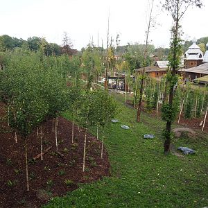 Mackenzie Valley wolf exhibit, 2019-10-04