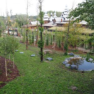 Mackenzie Valley wolf exhibit, 2019-10-04