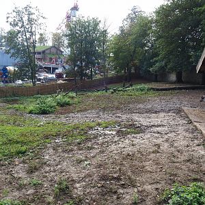 Domestic reindeer paddock, 2019-10-04