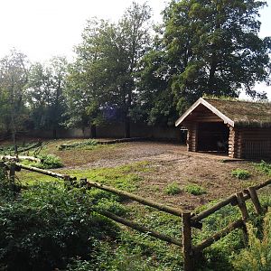 Domestic reindeer paddock, 2019-10-04