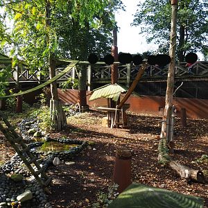 Raccoon and Striped skunk exhibit, 2019-10-04