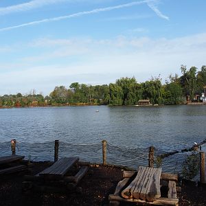 View over one of the lakes at Pairi Daiza, 2019-10-04