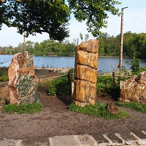 Lake-side gardens with large old plane trees, rocks and petrified wood, 2019-10-04