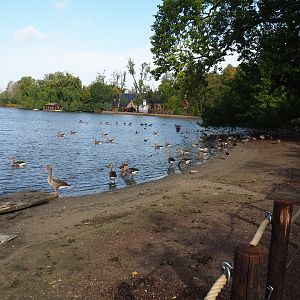 Lake and waterfowl beach, 2019-10-04