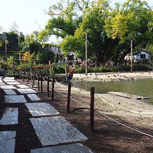 Rock pathway and waterfowl beach, 2019-10-04