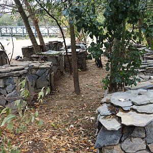 Black-footed penguin nesting rocks, 2019-10-04