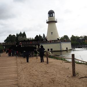 Black-footed penguin and Harbor seal exhibit, 2019-10-04