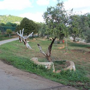 Tiger Reserve - Oct 2019